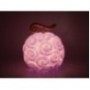 ONE PIECE - Gum Gum Fruit - Lampe 20 cm