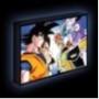 DRAGON BALL Z - Face Off - Canvas Lumineux 40X30 Cm